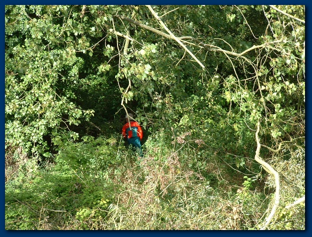 600x449 pixels (254K)